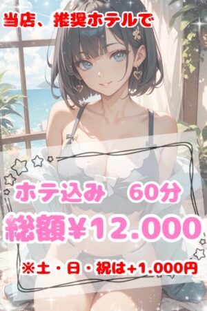 ホテコミ12,000円！