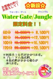 Water Gate/Jungle　　　限定料金